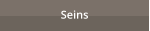Seins